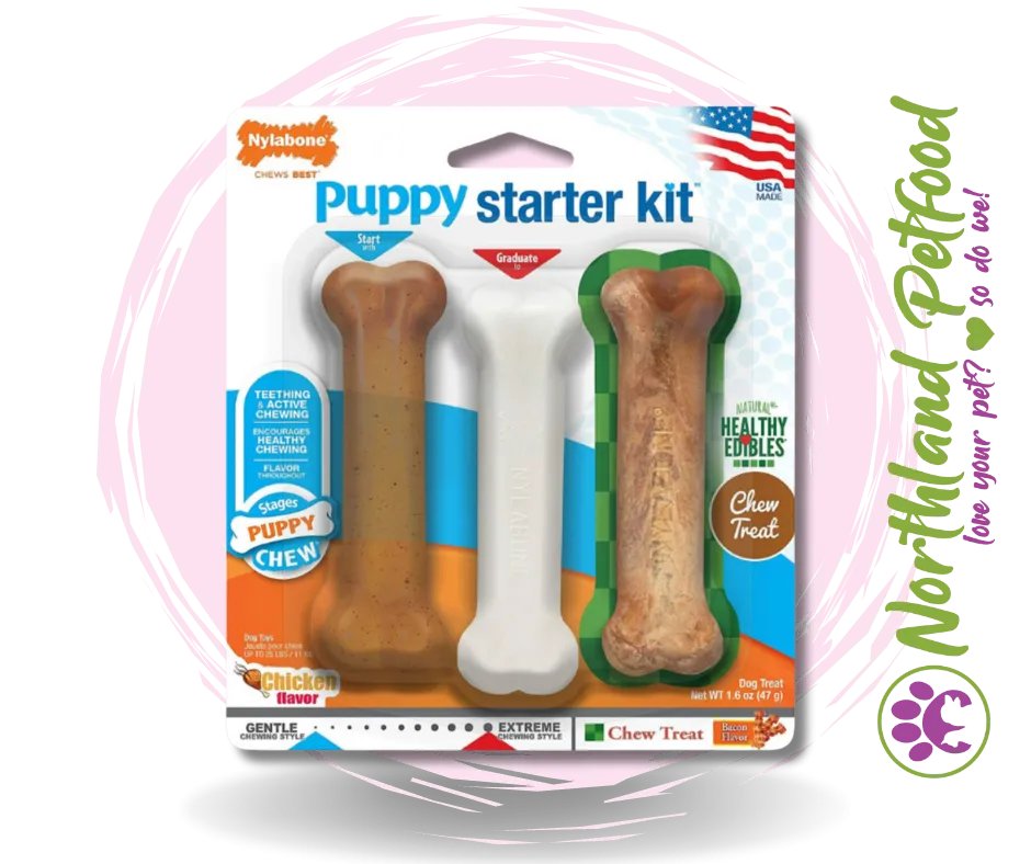 Nylabone Puppy Starter Kit