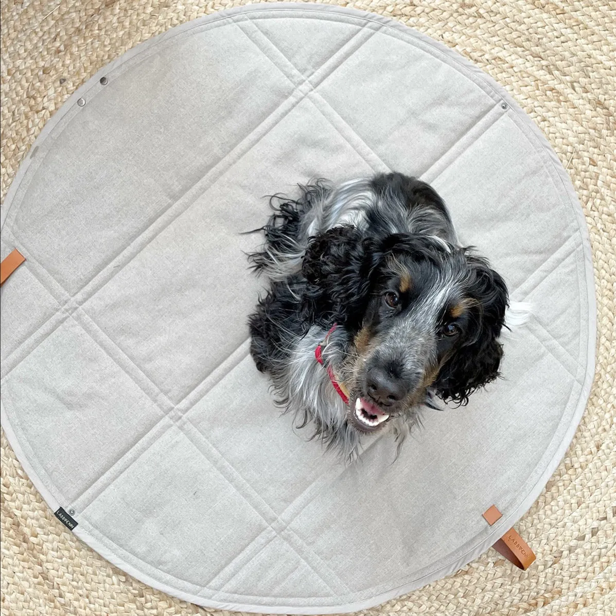 OKKA Dog Mat - Travel