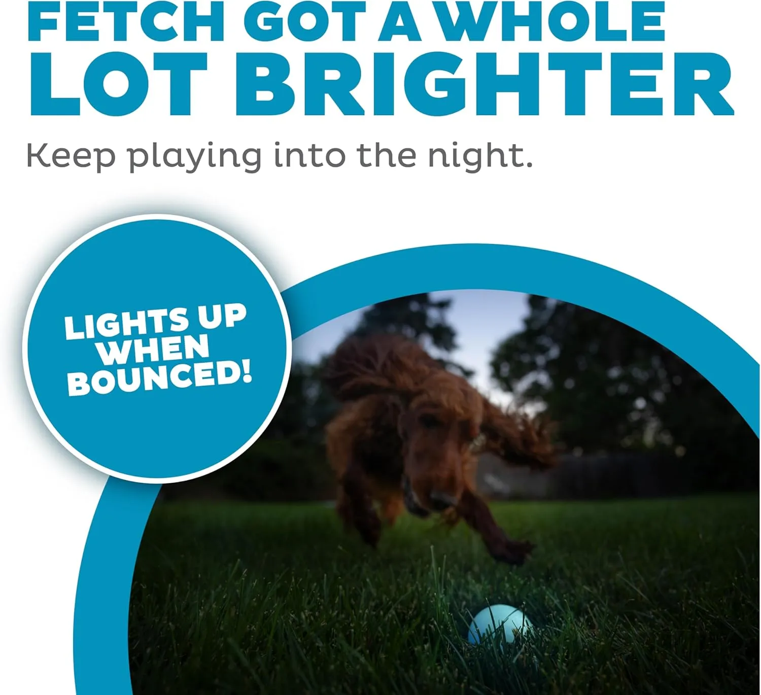 Outward Hound by Planet Dog Strobe Light Up LED Ball Dog Toy, Blue