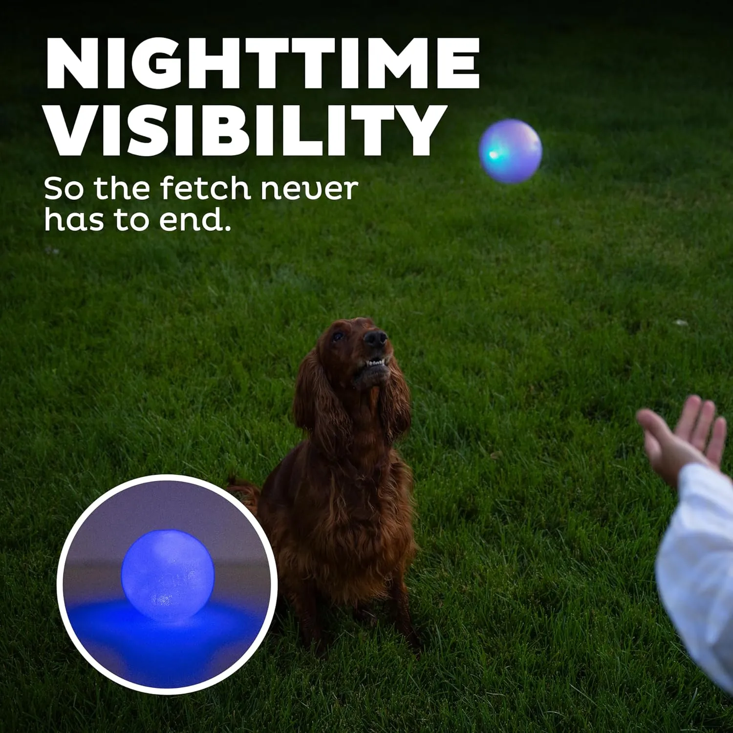 Outward Hound by Planet Dog Strobe Light Up LED Ball Dog Toy, Blue