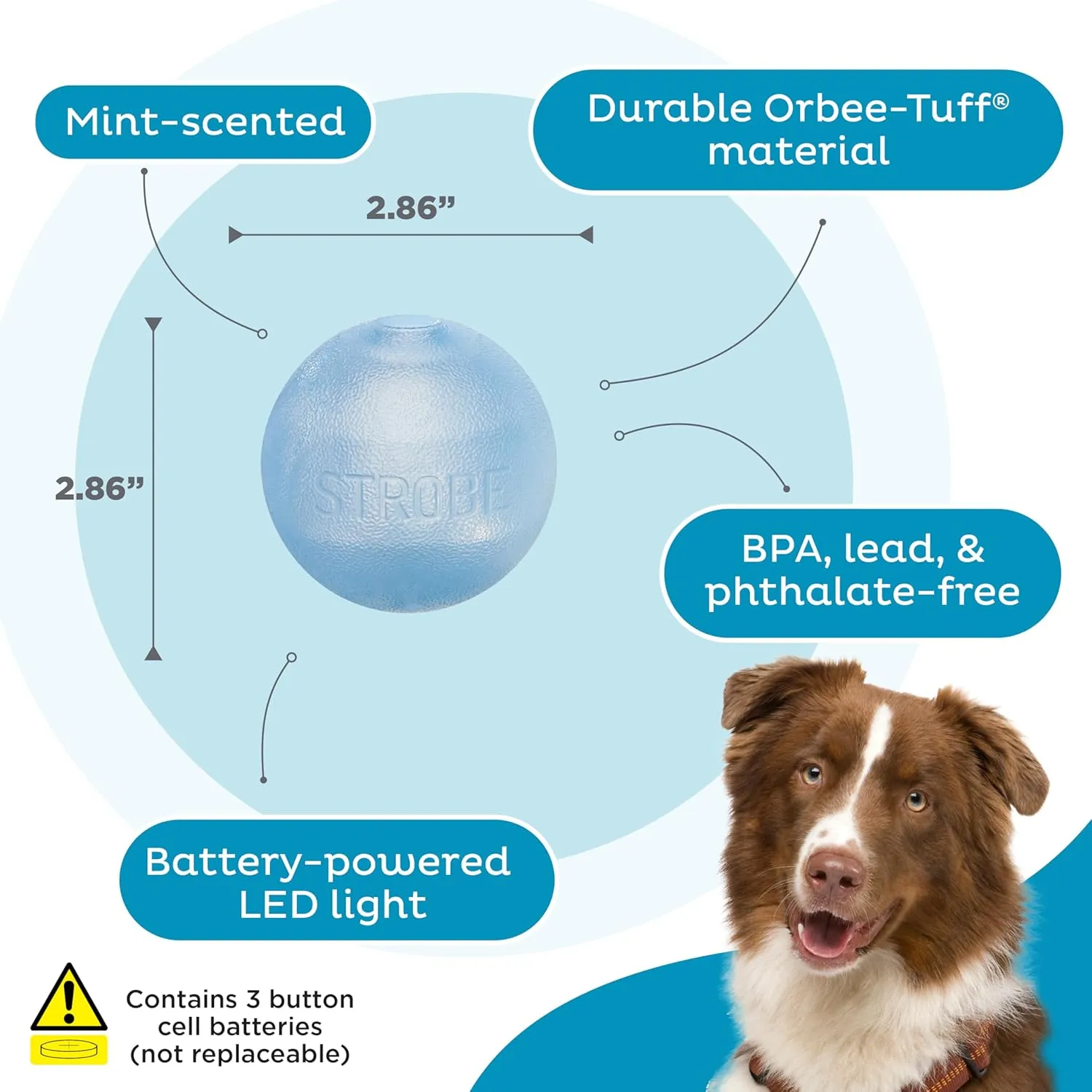 Outward Hound by Planet Dog Strobe Light Up LED Ball Dog Toy, Blue