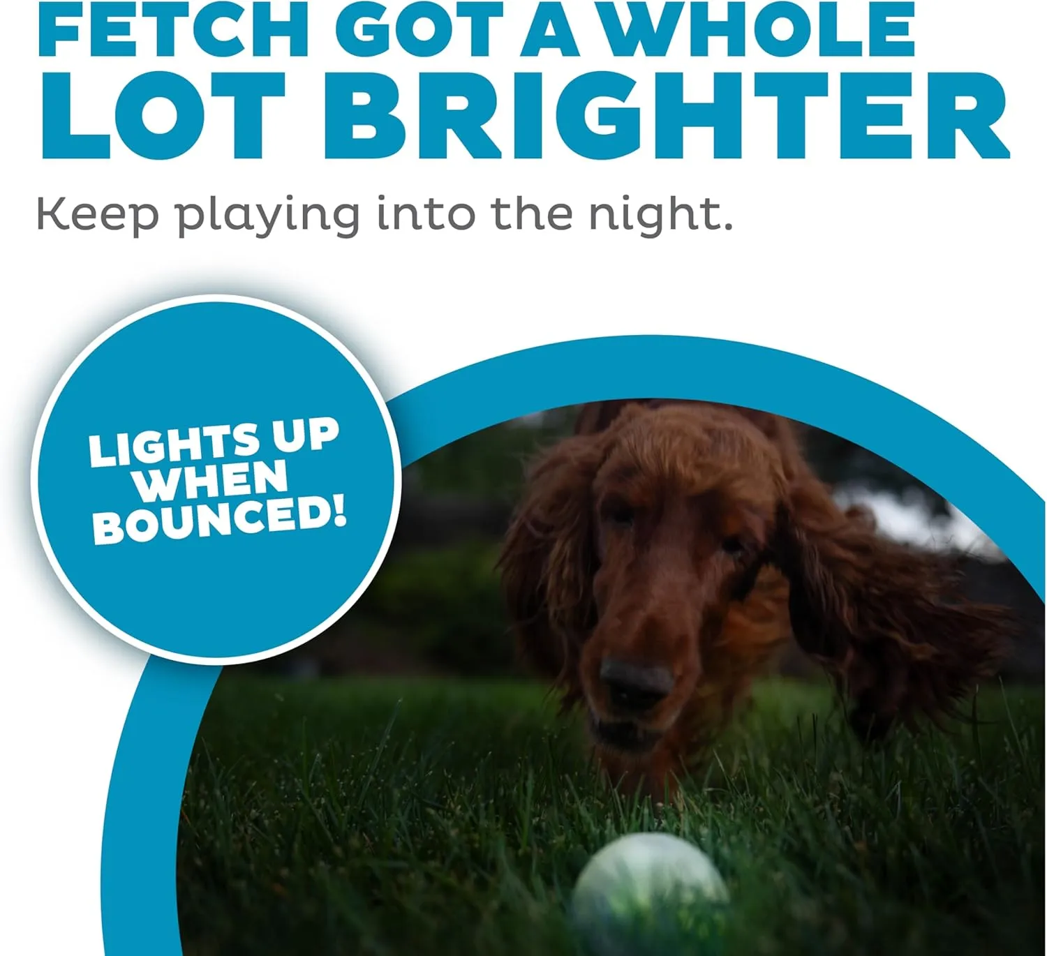 Outward Hound by Planet Dog Strobe Light Up LED Ball Dog Toy, Green