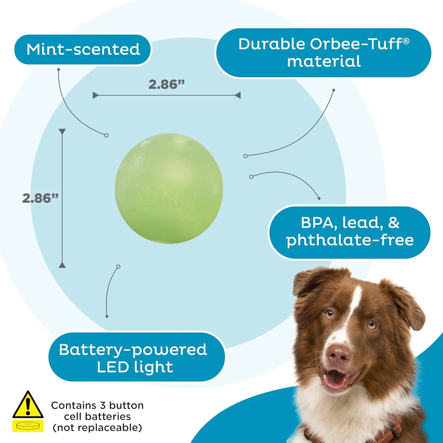 Outward Hound by Planet Dog Strobe Light Up LED Ball Dog Toy, Green