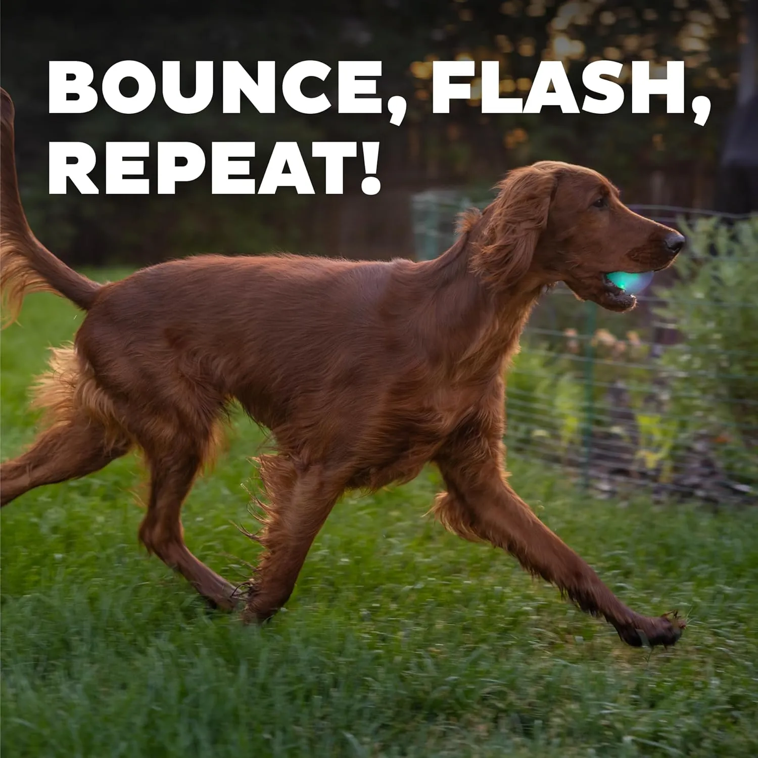 Outward Hound by Planet Dog Strobe Light Up LED Ball Dog Toy, Green