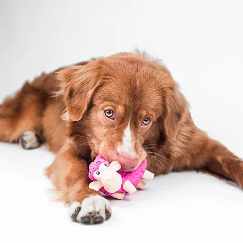 Outward Hound® Tootiez Sheep Pink Small Dog Toy