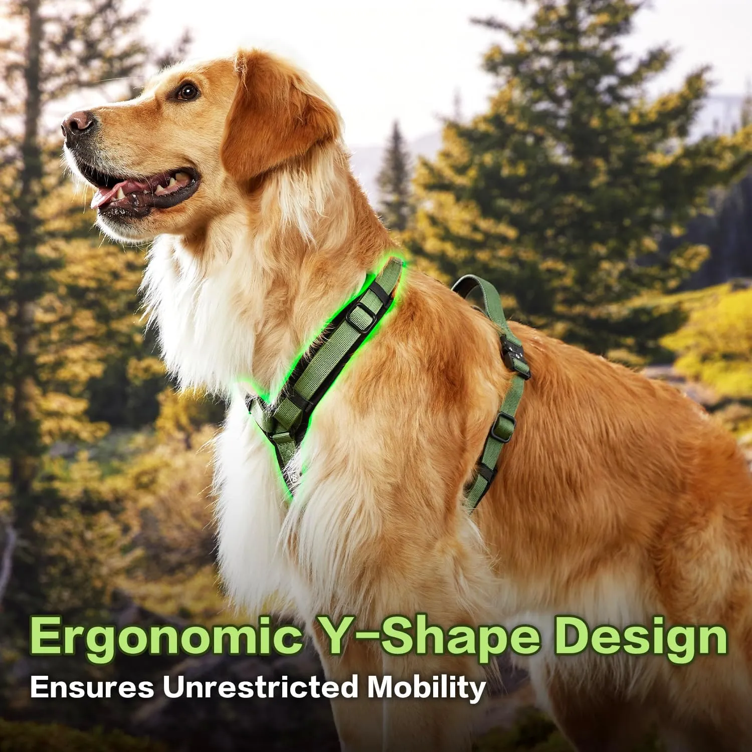PawsPassion Dog Harness for Medium Dogs, Chew-Proof Metal Hardware, Easy Walk Dog Harness, Ergonomic Y-Shaped Design, Soft Padding, Padded Handle, Durable High-Tensile Nylon (Evergreen, M)