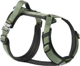 PawsPassion Dog Harness for Medium Dogs, Chew-Proof Metal Hardware, Easy Walk Dog Harness, Ergonomic Y-Shaped Design, Soft Padding, Padded Handle, Durable High-Tensile Nylon (Evergreen, M)