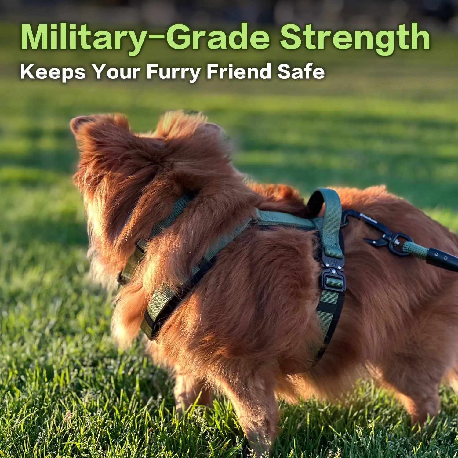 PawsPassion Dog Harness for Medium Dogs, Chew-Proof Metal Hardware, Easy Walk Dog Harness, Ergonomic Y-Shaped Design, Soft Padding, Padded Handle, Durable High-Tensile Nylon (Evergreen, M)