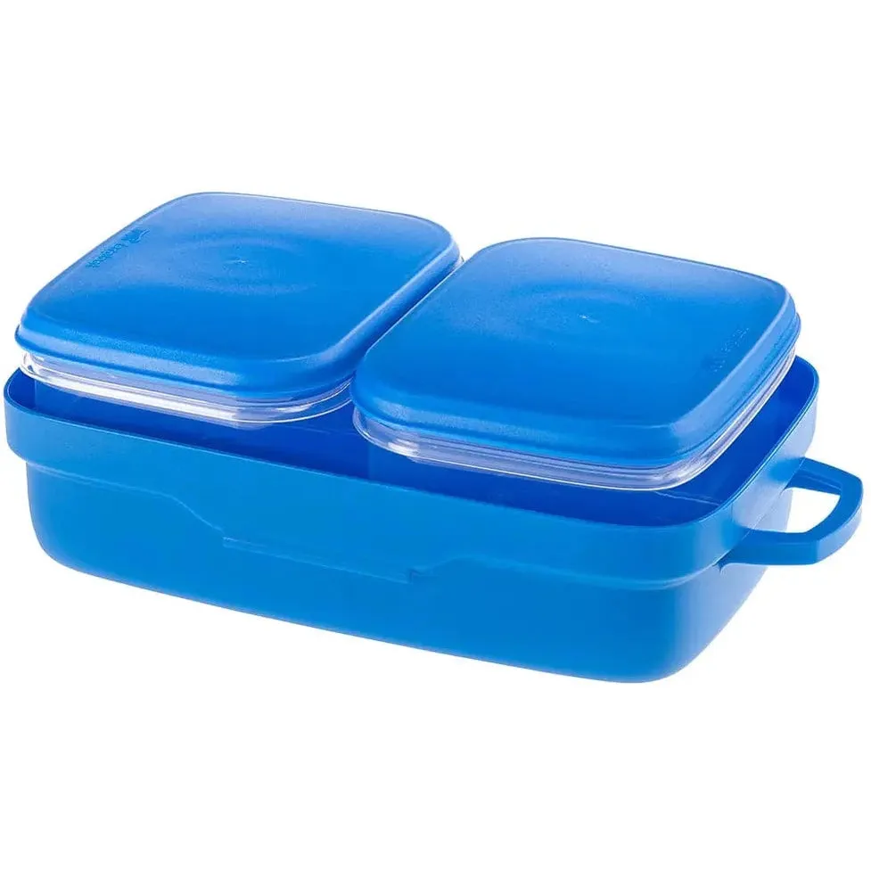 Pet Risto Container