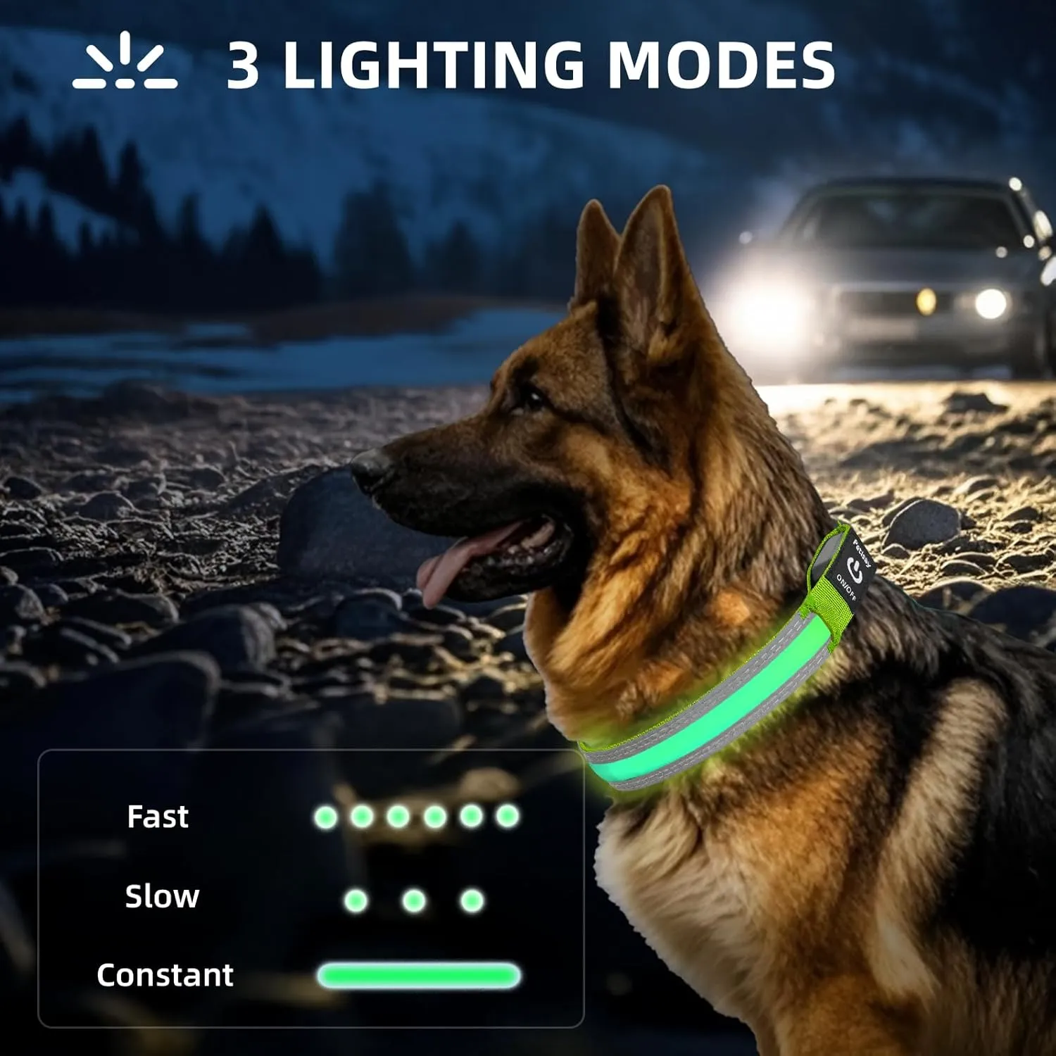 PetIsay LED Dog Collar Metal Buckle - Heavy Duty Light up Collars - Rechargeable IP68 Waterproof - Lighted Dog Collar for Night Walking, Hiking, Camping (Medium, Green)