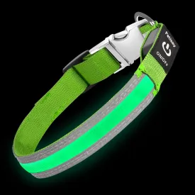 PetIsay LED Dog Collar Metal Buckle - Heavy Duty Light up Collars - Rechargeable IP68 Waterproof - Lighted Dog Collar for Night Walking, Hiking, Camping (Medium, Green)