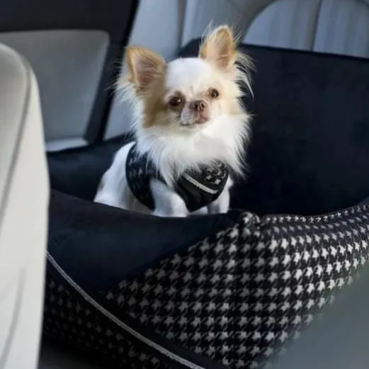 Prestige Black Car Seat LUXURY by Oh Charlie - Black
