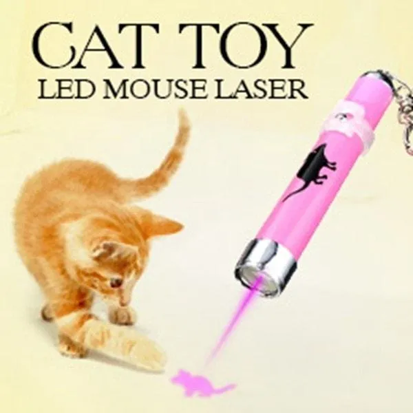 Rat lights
