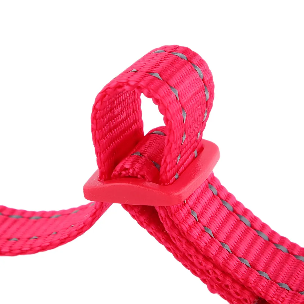 Reflective Dog Collar | Essentials Collection