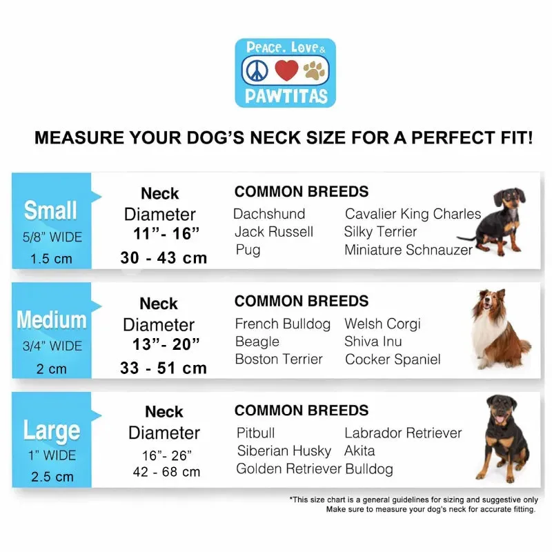 Reflective Martingale Dog Collar