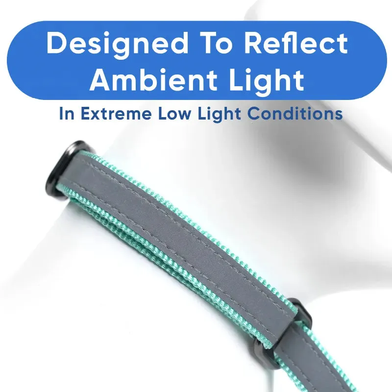 Reflective Martingale Dog Collar