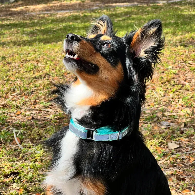 Reflective Martingale Dog Collar