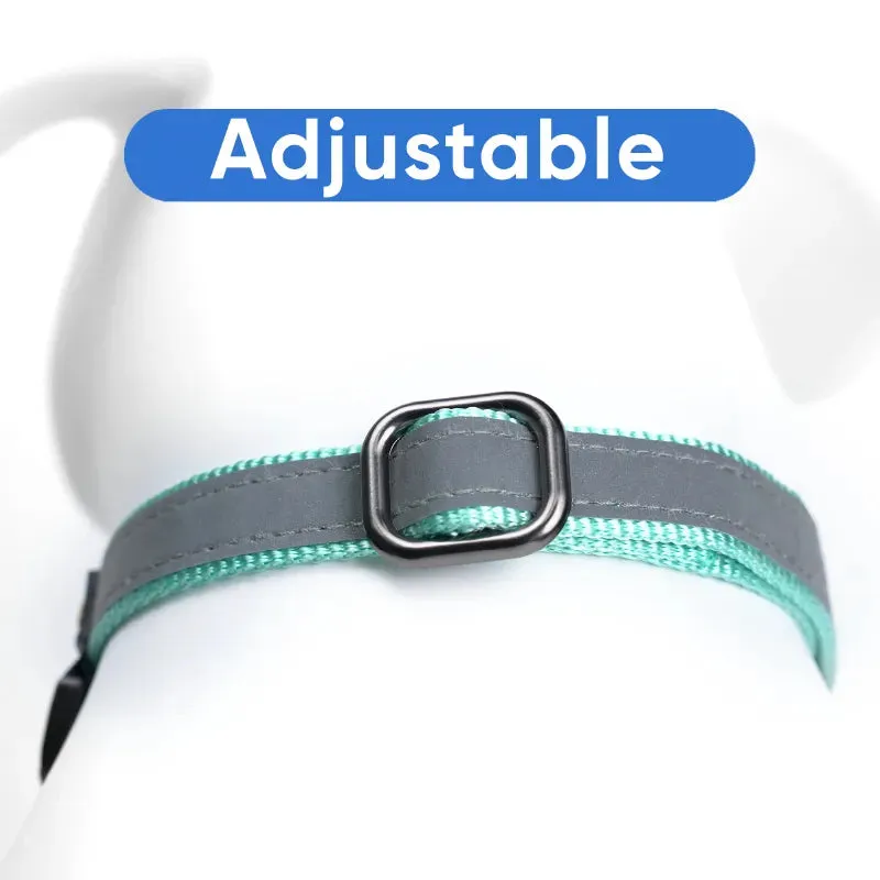 Reflective Martingale Dog Collar
