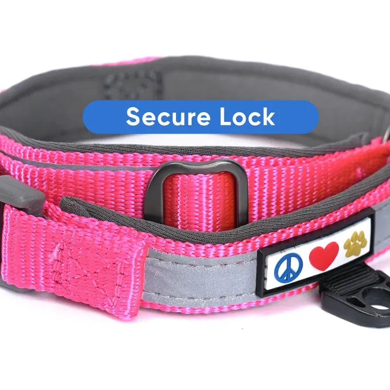 Reflective Martingale Padded Dog Collar