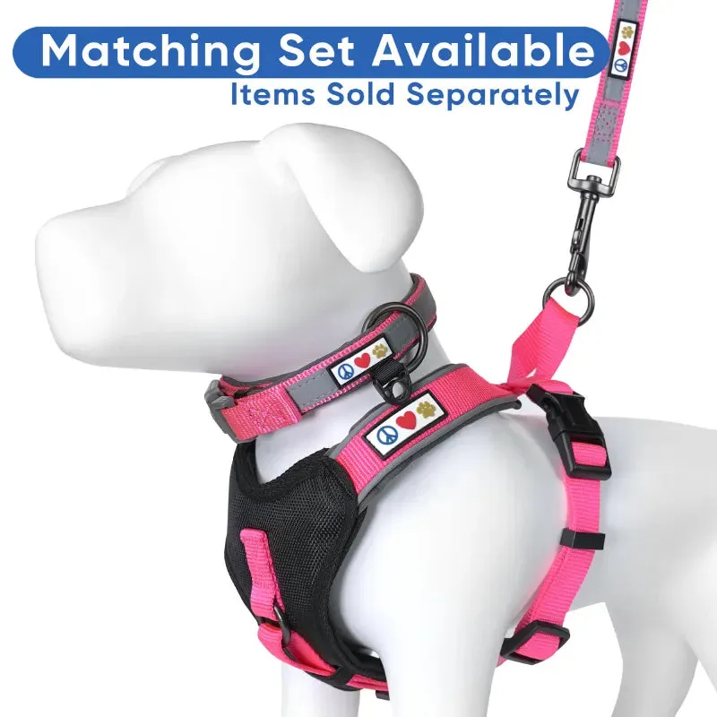 Reflective Martingale Padded Dog Collar