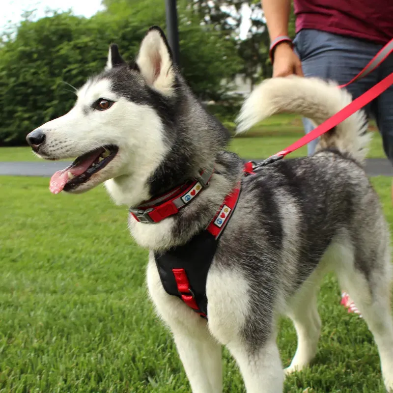 Reflective Martingale Padded Dog Collar