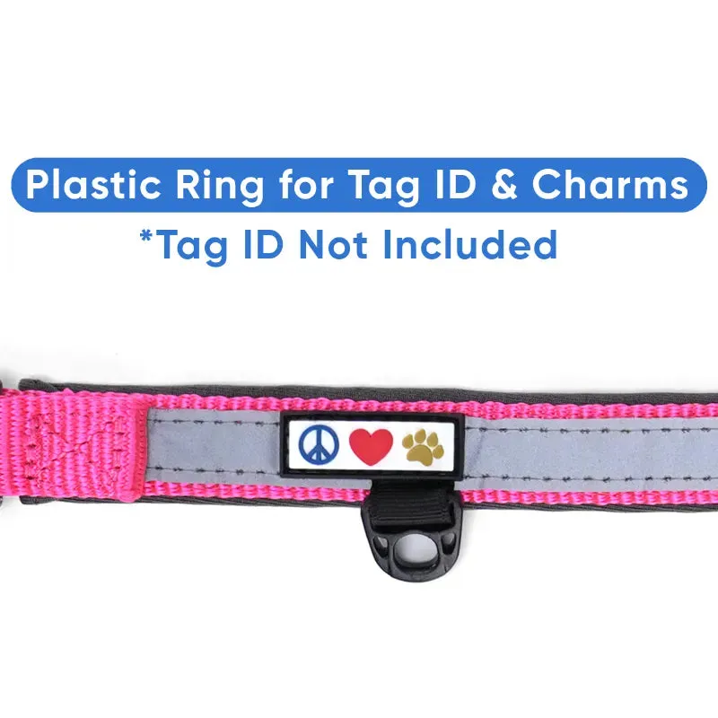 Reflective Martingale Padded Dog Collar
