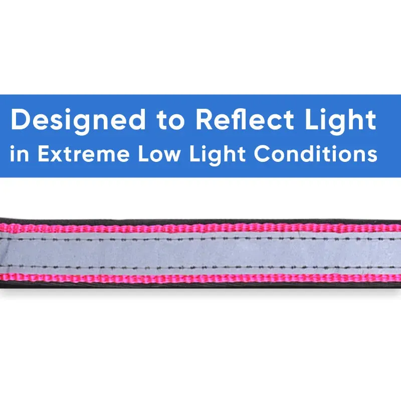 Reflective Martingale Padded Dog Collar