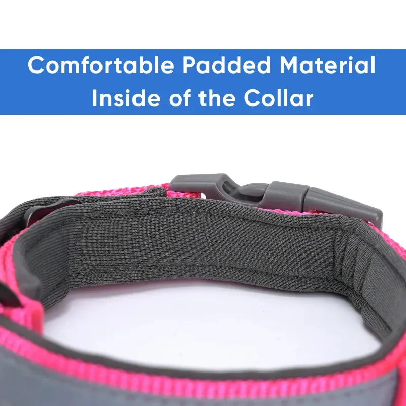 Reflective Martingale Padded Dog Collar