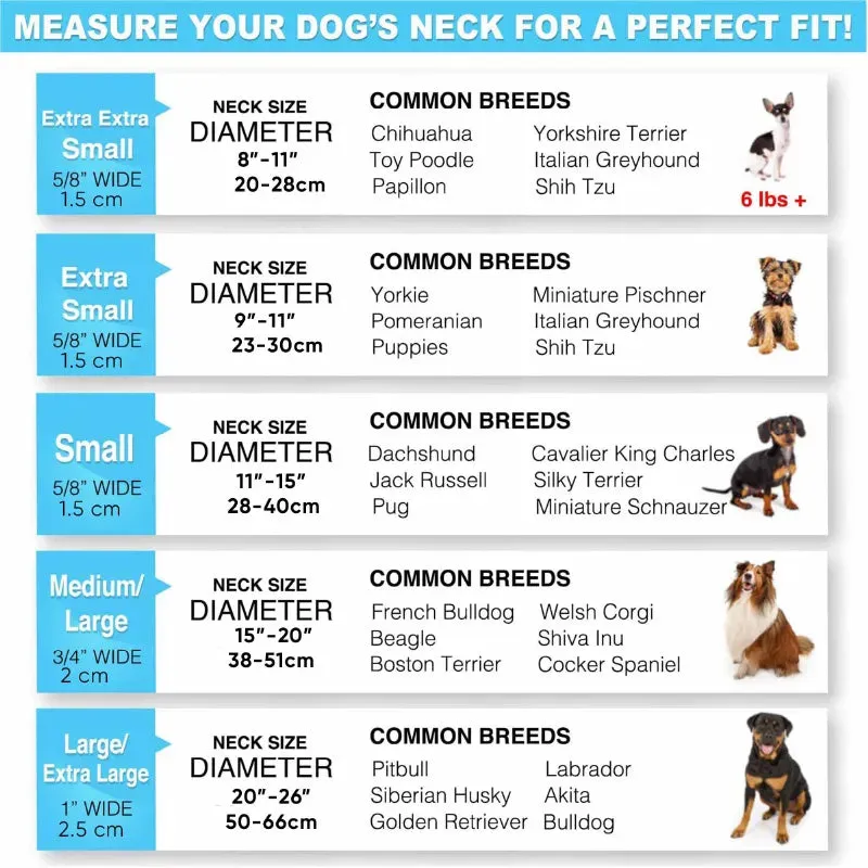Reflective Martingale Padded Dog Collar