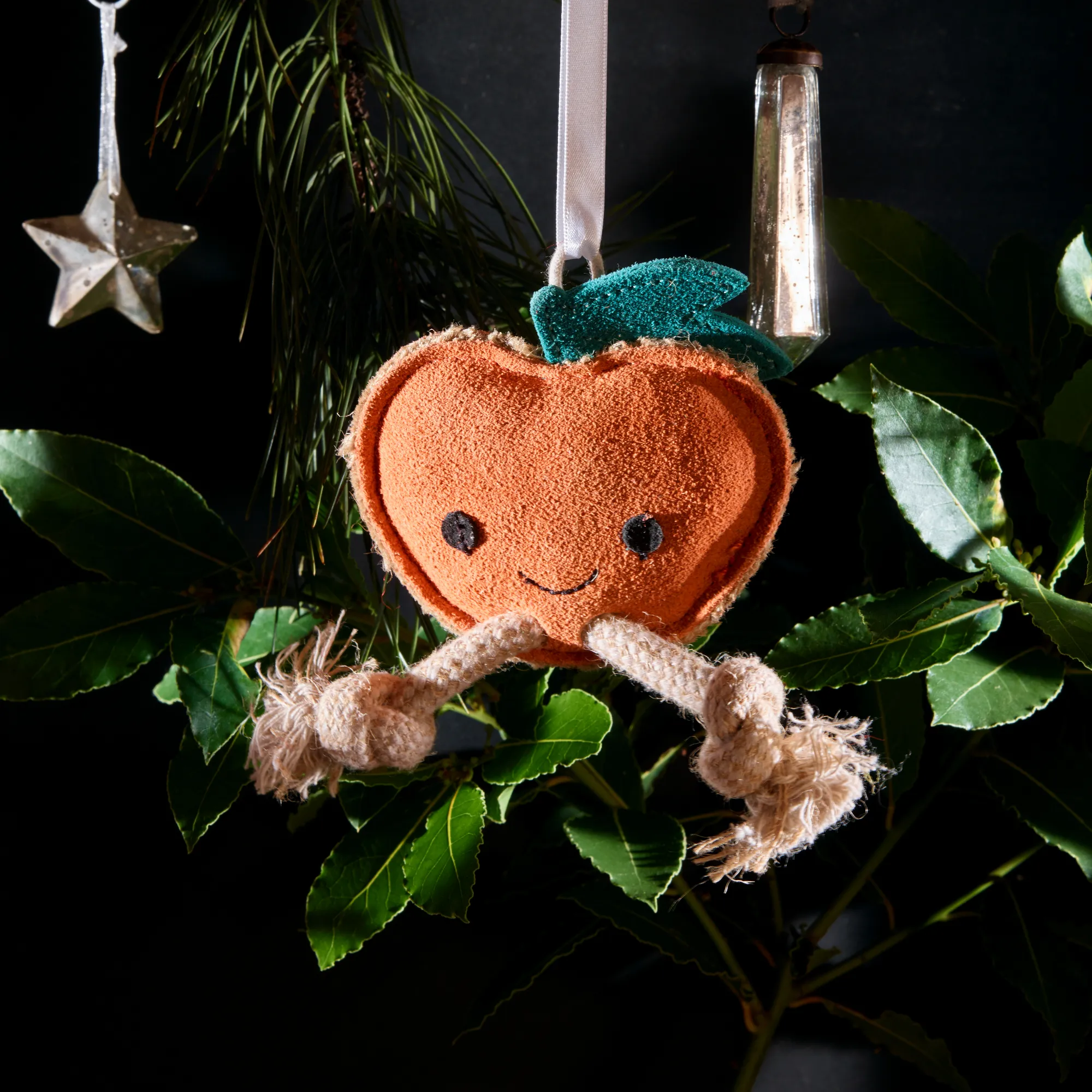 Sancho the Satsuma Eco Toy