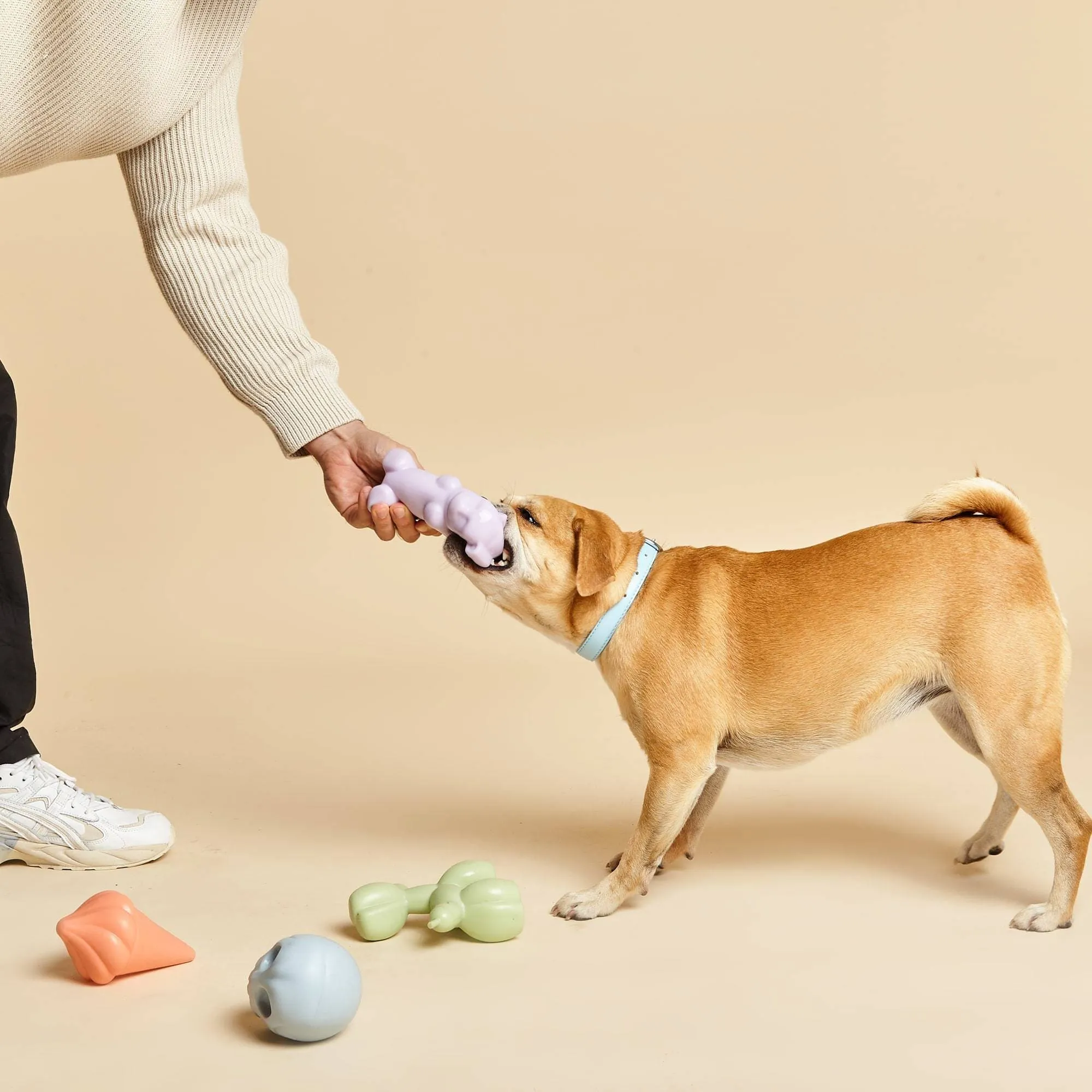 Squeaky TPR Dog Toy | Gummy