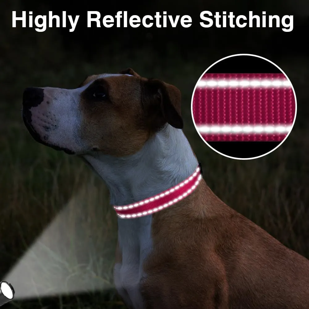 Taglory Reflective Adjustable Dog Collars for Puppy Small Medium Large Dogs, Thin Nylon Webbing and Quick Release Plastic Buckle(Hot Pink, Small)