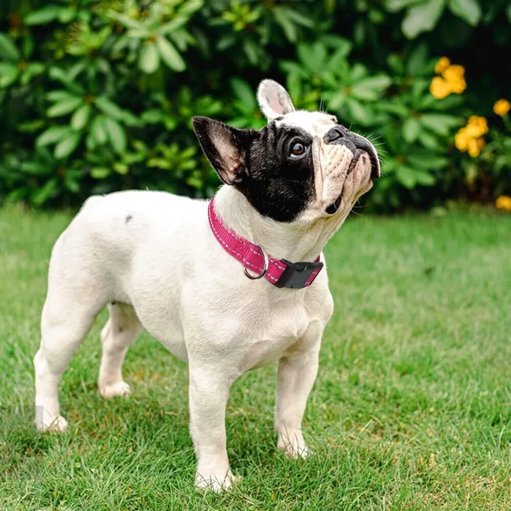 Taglory Reflective Adjustable Dog Collars for Puppy Small Medium Large Dogs, Thin Nylon Webbing and Quick Release Plastic Buckle(Hot Pink, Small)