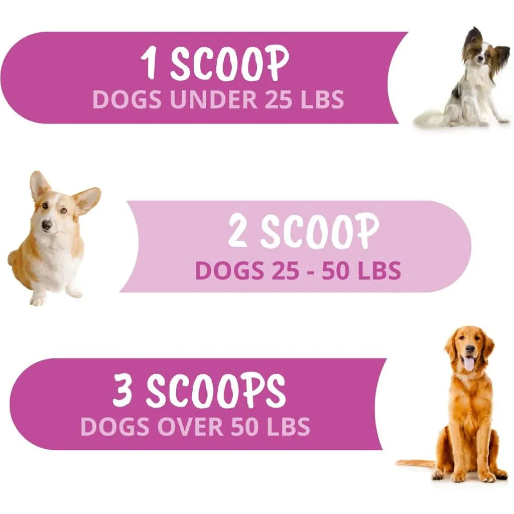 Under the Weather Hip & Joint Powder for Dogs, 4.23-oz