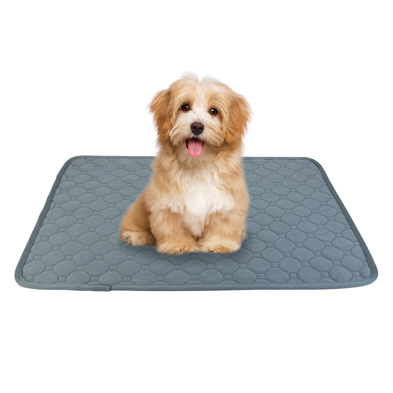 Washable Dog Pee Pad Reusable Puppy Potty Training Pads