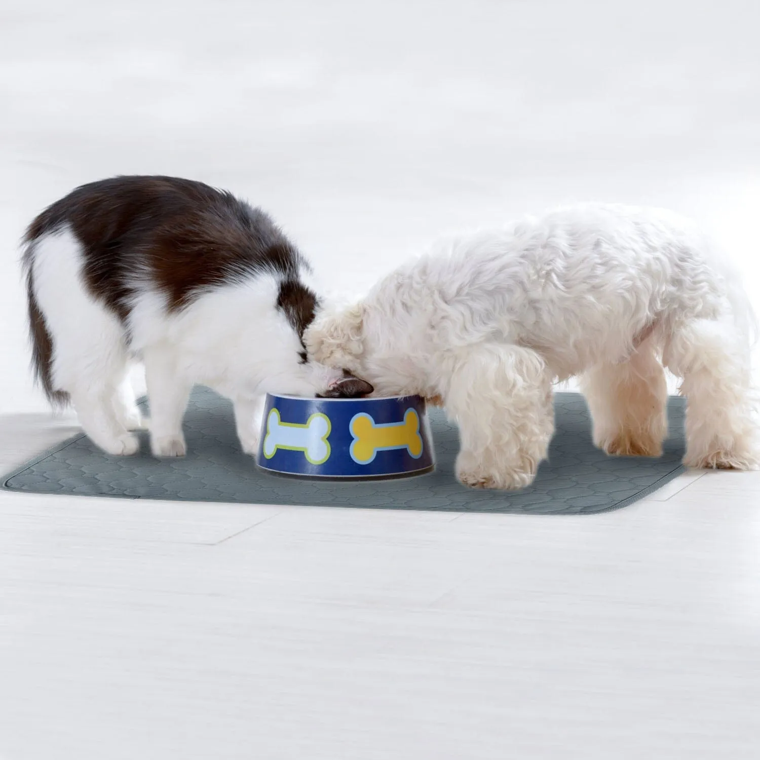 Washable Dog Pee Pad Reusable Puppy Potty Training Pads