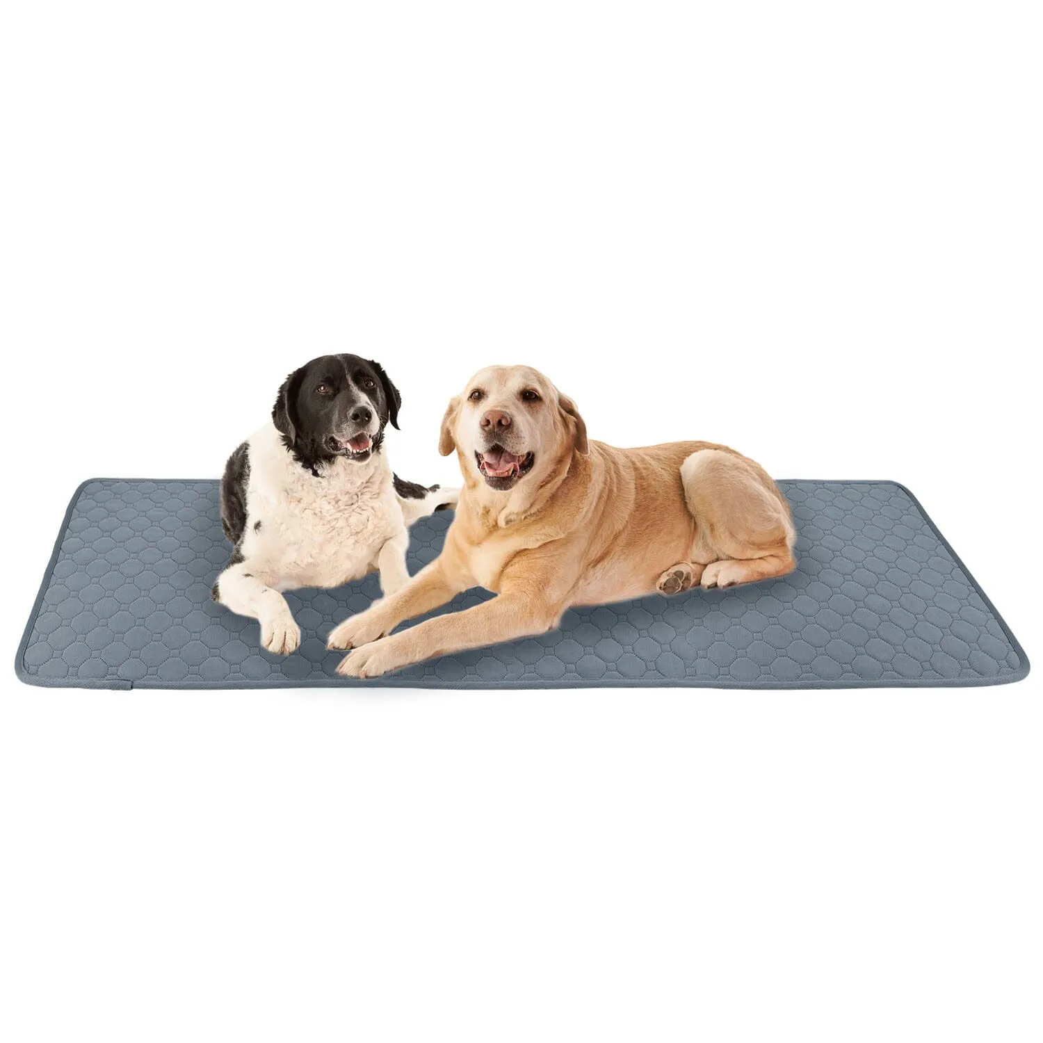 Washable Dog Pee Pad Reusable Puppy Potty Training Pads