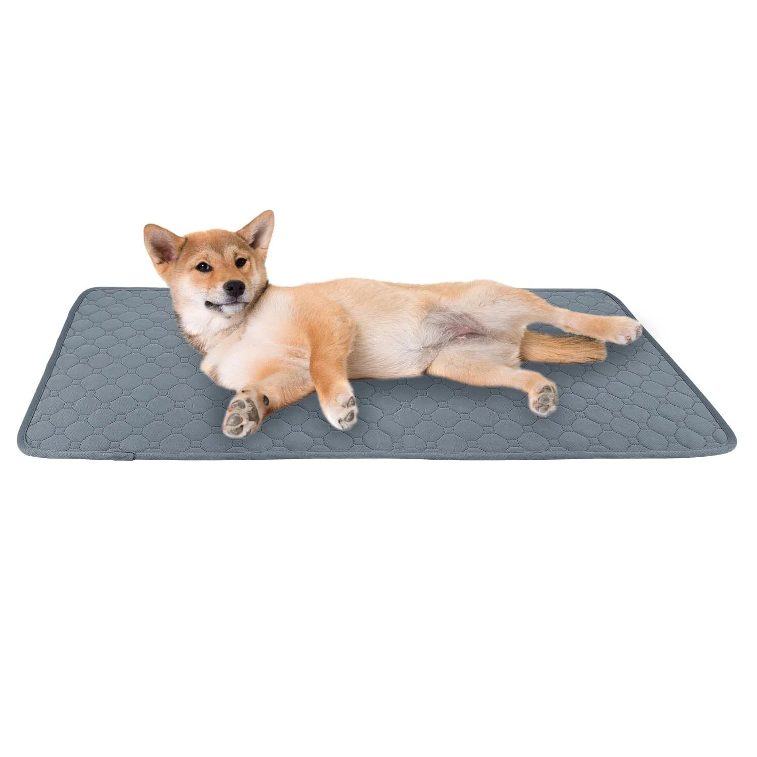 Washable Dog Pee Pad Reusable Puppy Potty Training Pads