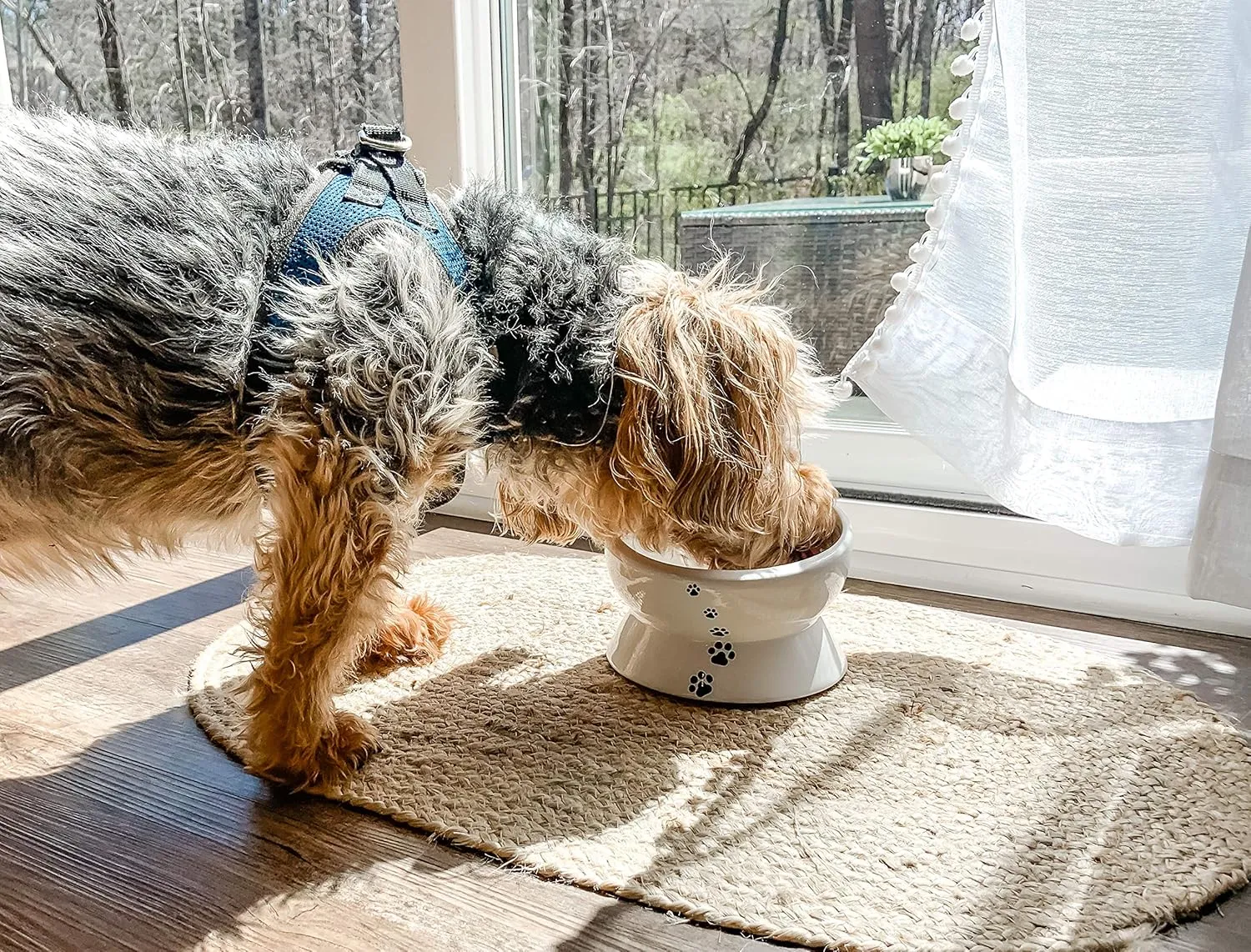 Y YHY Elevated Cat Food Bowl, Raised Food and Water Bowl for Cat and Small Dog, Tilted Ceramic Water Bowls No Spill,15oz, Dishwasher Safe