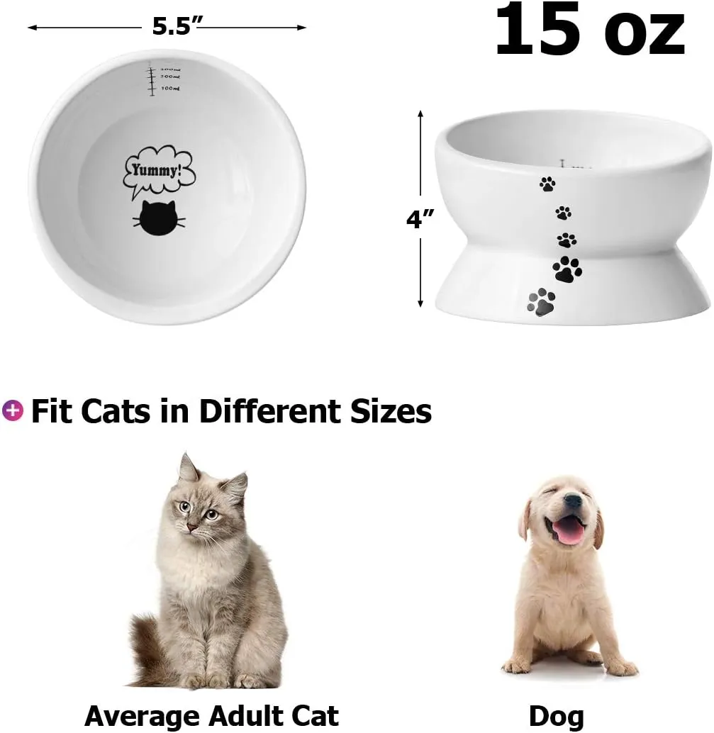 Y YHY Elevated Cat Food Bowl, Raised Food and Water Bowl for Cat and Small Dog, Tilted Ceramic Water Bowls No Spill,15oz, Dishwasher Safe