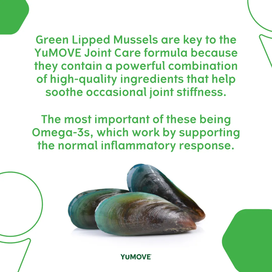 YuMOVE Joint Supplement for Adult Dogs I Soft Chews