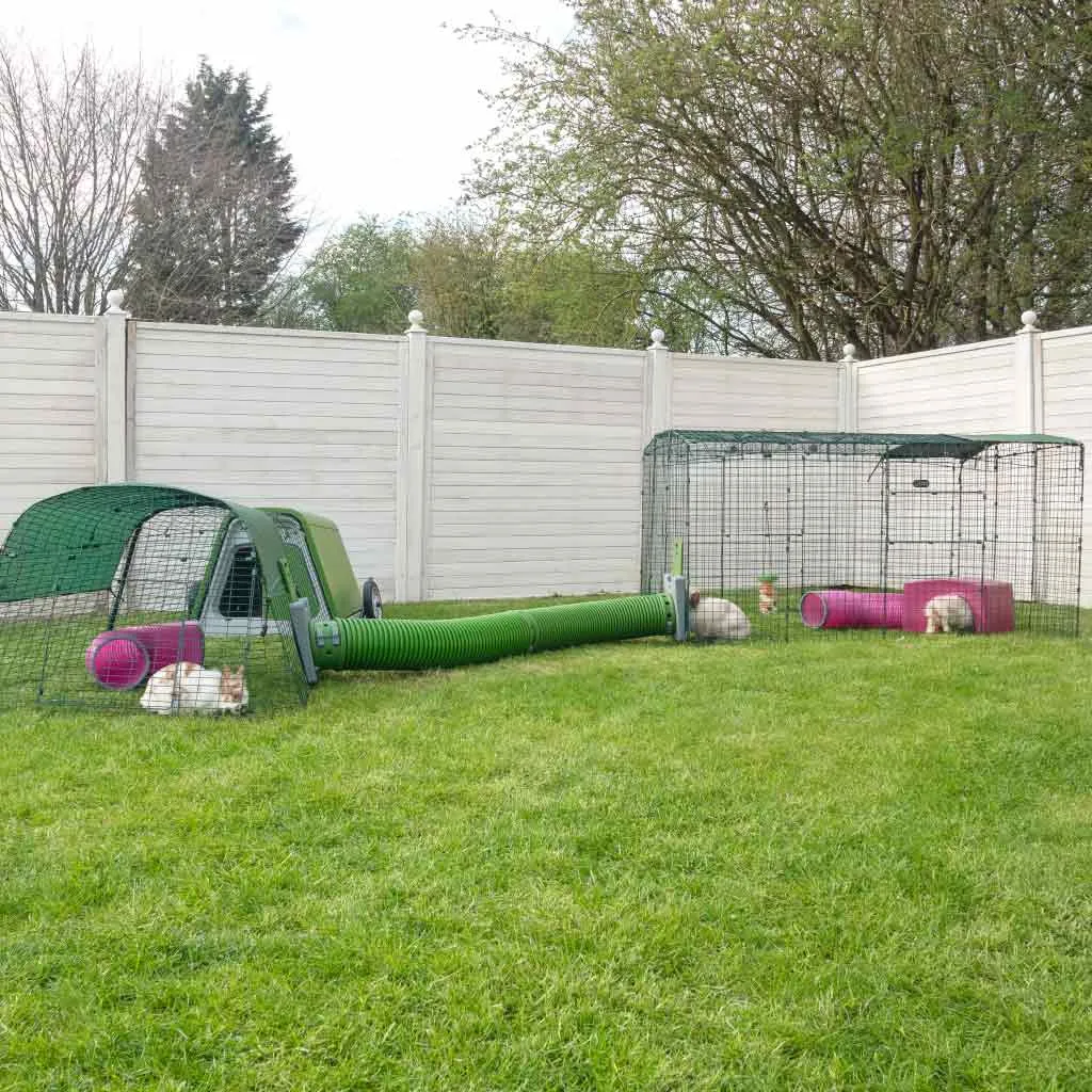 Zippi Runs & Playpens | Rabbits & Guinea Pigs